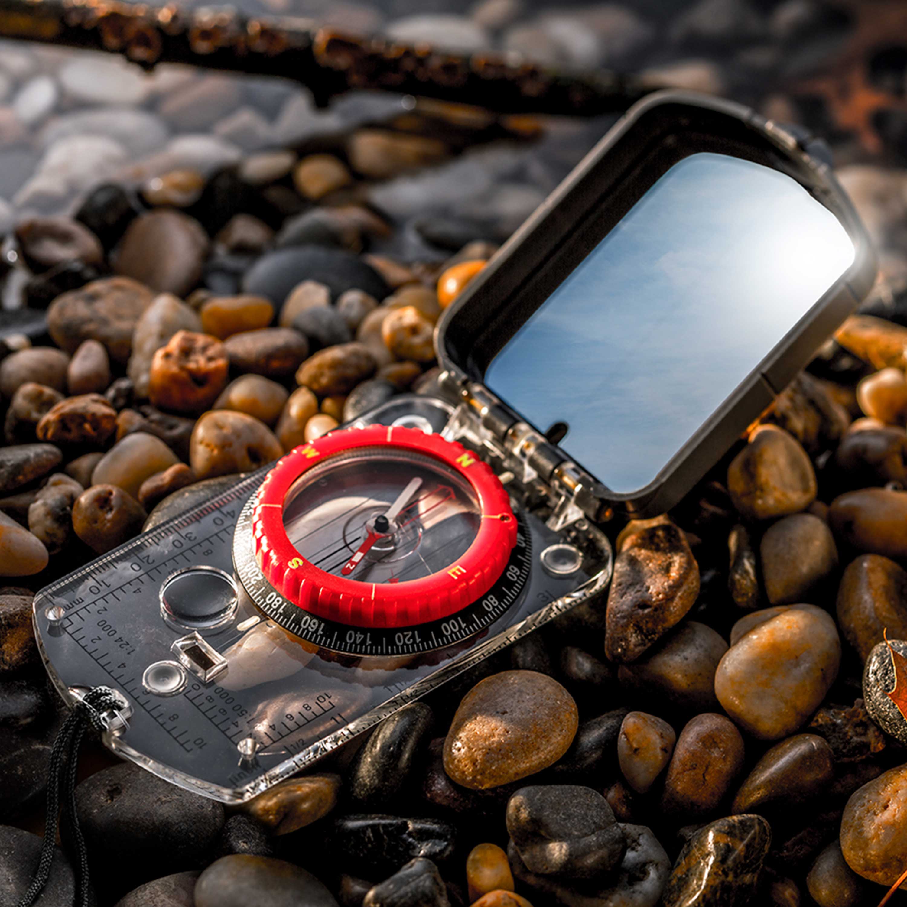 Compass 25